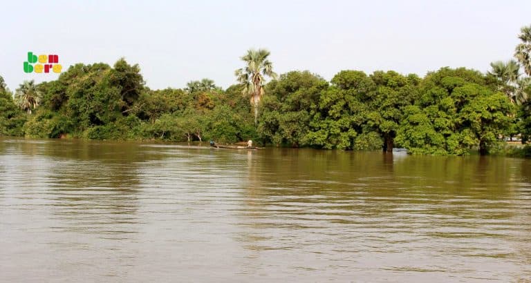 tombouctou montee eaux agriculteurs Fleuve_arbre_montee_d_eau_Tombouctou_Mali