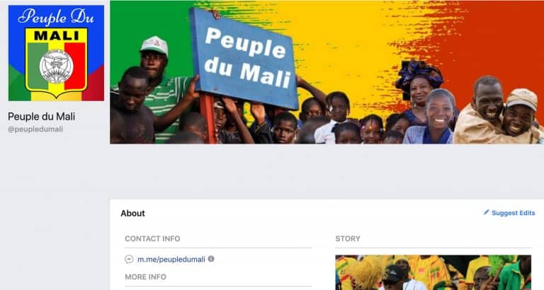 Élections influence maliens internet