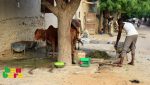 Mopti : à N'Gomi, l'exemple d'une cohabitation réussie