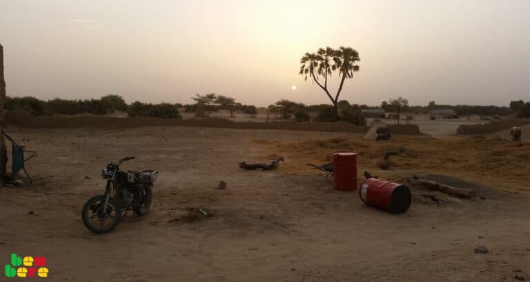 Sahel : la sécheresse, un obstacle à la sécurité alimentaire et au développement