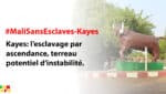 #MaliSansEsclaves-Kayes : l’esclavage par ascendance, terreau potentiel d’instabilité