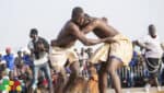 Plateau dogon : les amateurs de la lutte traditionnelle orphelins
