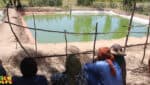 Goundam : ces étangs piscicoles qui font renaitre l’espoir
