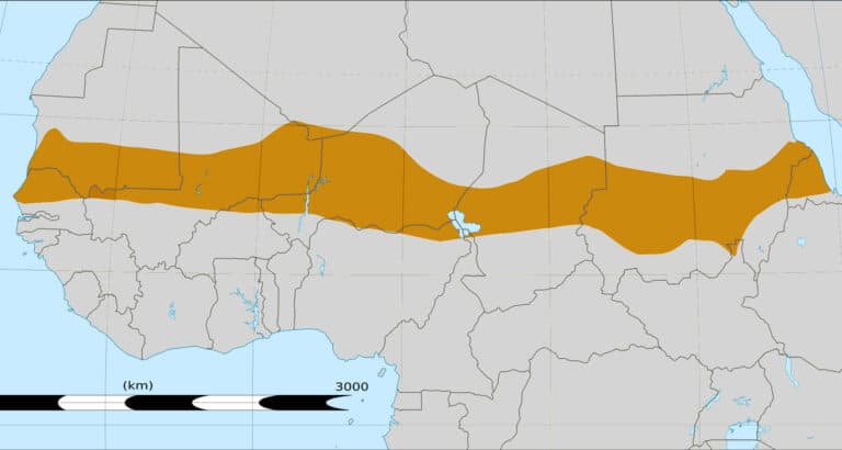 Au Sahel, la question des otages en débat