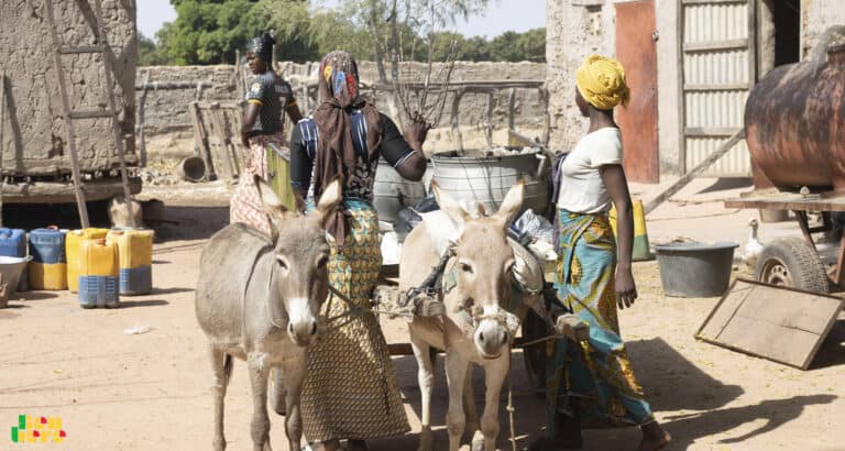 A la Une : le village de Bounti endeuillé dans le centre du Mali