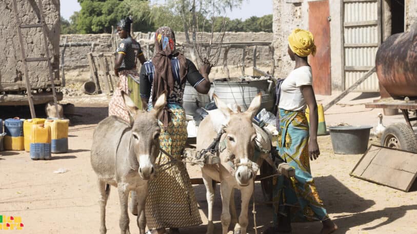 A la Une : le village de Bounti endeuillé dans le centre du Mali