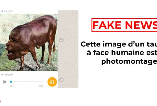#BenbereVerif : cette image d’un taureau à face humaine est un photomontage