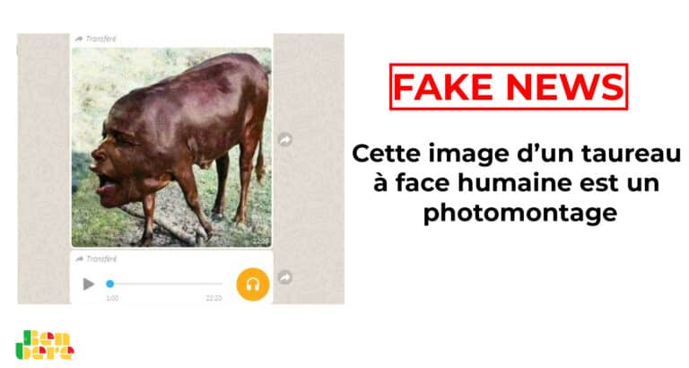#BenbereVerif : cette image d’un taureau à face humaine est un photomontage