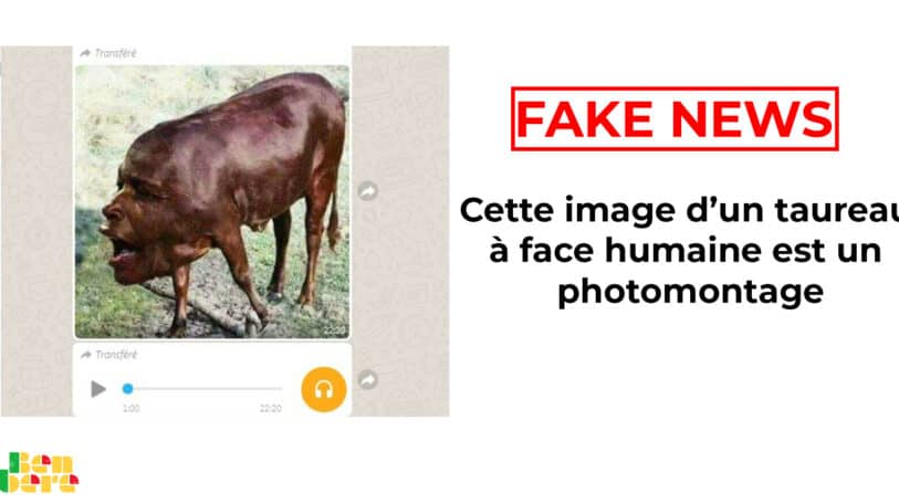 #BenbereVerif : cette image d’un taureau à face humaine est un photomontage