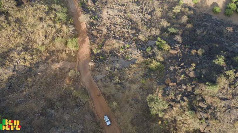 Forêt classée de la Faya : un patrimoine en voie de disparition