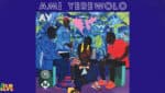 « AY », troisième album d’Ami Yerewolo, un voyage musical
