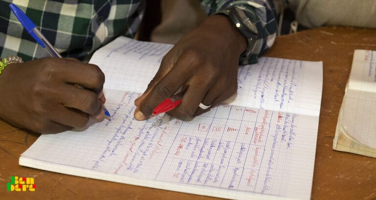 Mali : créer et opérationnaliser des écoles de formation au sein des partis politiques