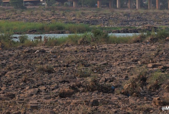 #NeTuonsPasNosFleuves : menace sur le fleuve Niger