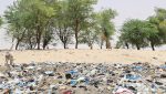 #CoolAvecLaNature : Tombouctou face au désert et aux déchets plastiques
