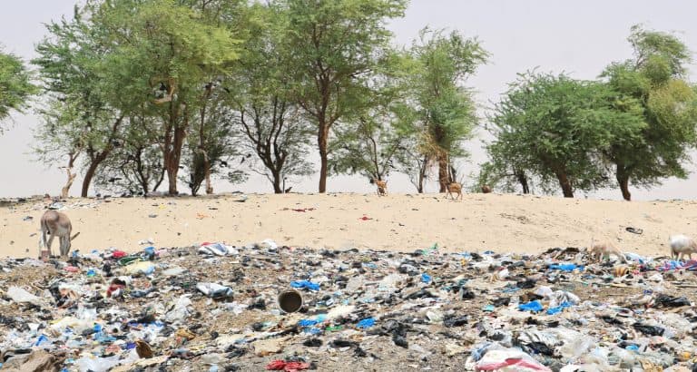#CoolAvecLaNature : Tombouctou face au désert et aux déchets plastiques