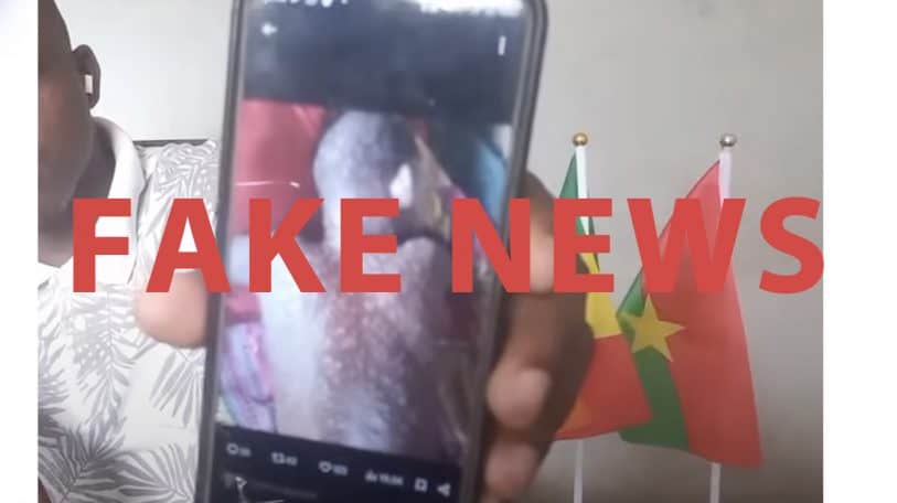 Mpox/Variole du singe : attention aux théories du complot !